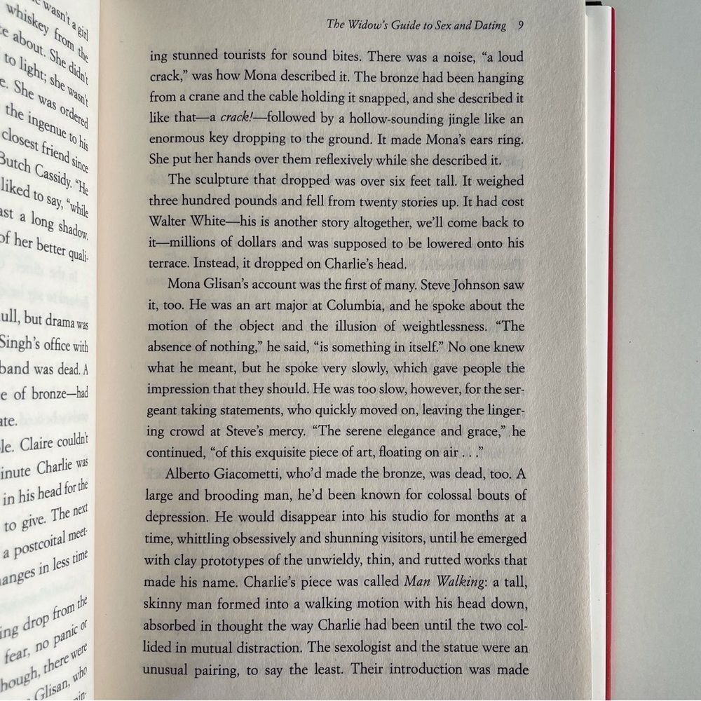 BOOK, The Widow’s Guide to Sex & Dating, a novel, 302 pages, Fiction, NOS - Picture 8 of 16
